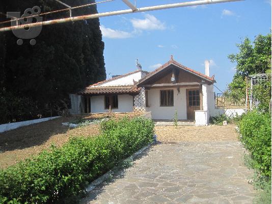 ΠΩΛΟΥΝΤΑΙ 2 ΕΧΟΧΙΚΕΣ ΚΑΤΟΙΚΙΕΣ